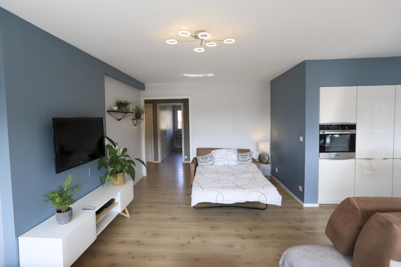Azur Bleu 4 Etoiles Annecy Centre-Ville Et Lac Lumineux المظهر الخارجي الصورة